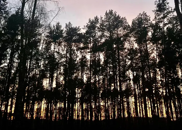 Domek W Brzozach Nad Jeziorem Z Balia Na Wylacznosc